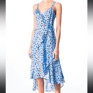NWT Sz 4 Parker Blue Floral Kathy Dress ($398)